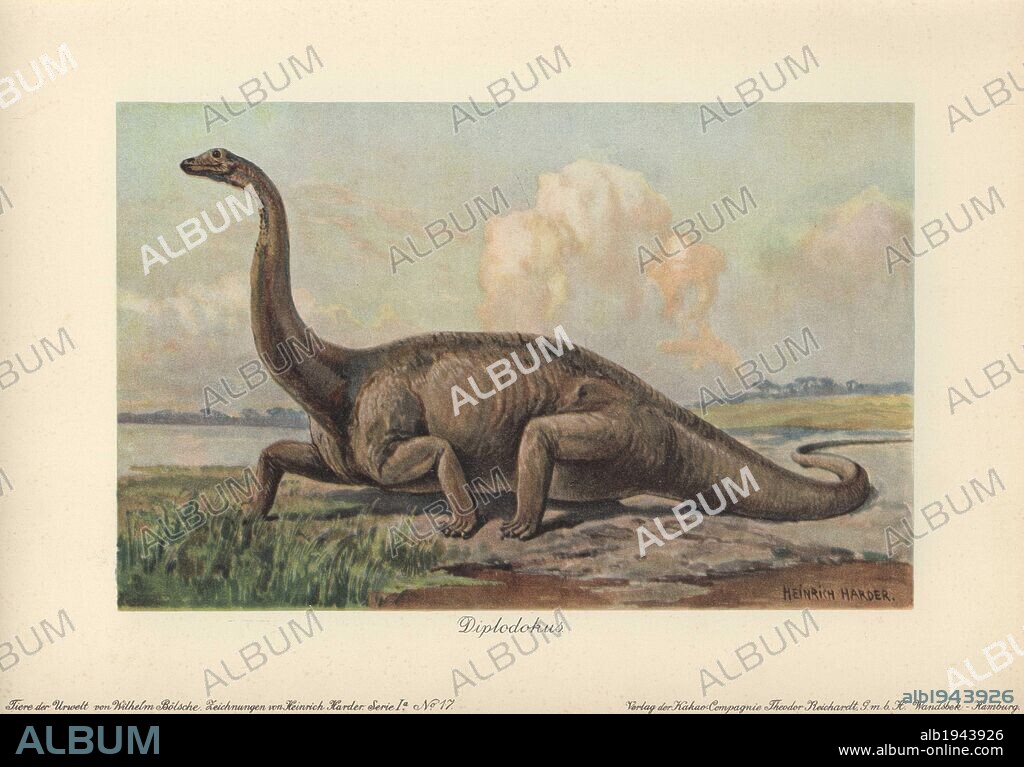 Diplodocus is a genus of extinct diplodocid sauropod dinosaur of the Late Jurassic period. . . Colour printed illustration by Heinrich Harder from "Tiere der Urwelt" Animals of the Prehistoric World, 1916, Hamburg. Heinrich Harder (1858-1935) was a German landscape artist and book illustrator. From a series of prehistoric creature cards published by the Reichardt Cocoa company. Natural historian Wilhelm Bolsche wrote the descriptive text.