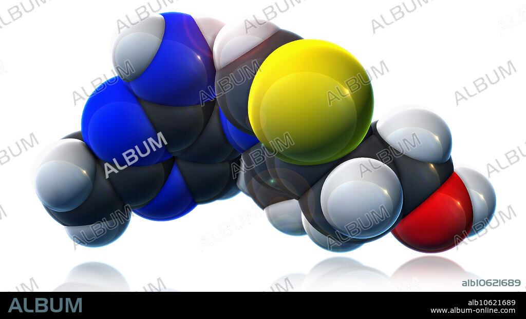 A molecular model of vitamin B1 (Thiamine), an essential nutrient used in generating energy from carbohydrates, DNA and RNA production, and nerve function. Bacteria, fungi and plants can synthesize thiamine, but animals must obtain it through their diet. Atoms are coloured dark gray (carbon), light gray (hydrogen), blue (nitrogen), red (oxygen) and yellow (sulfer).