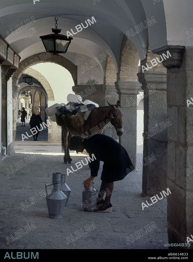 LECHERA EN LOS SOPORTALES DE LA PLAZA GRANDE DE ZAFRA.