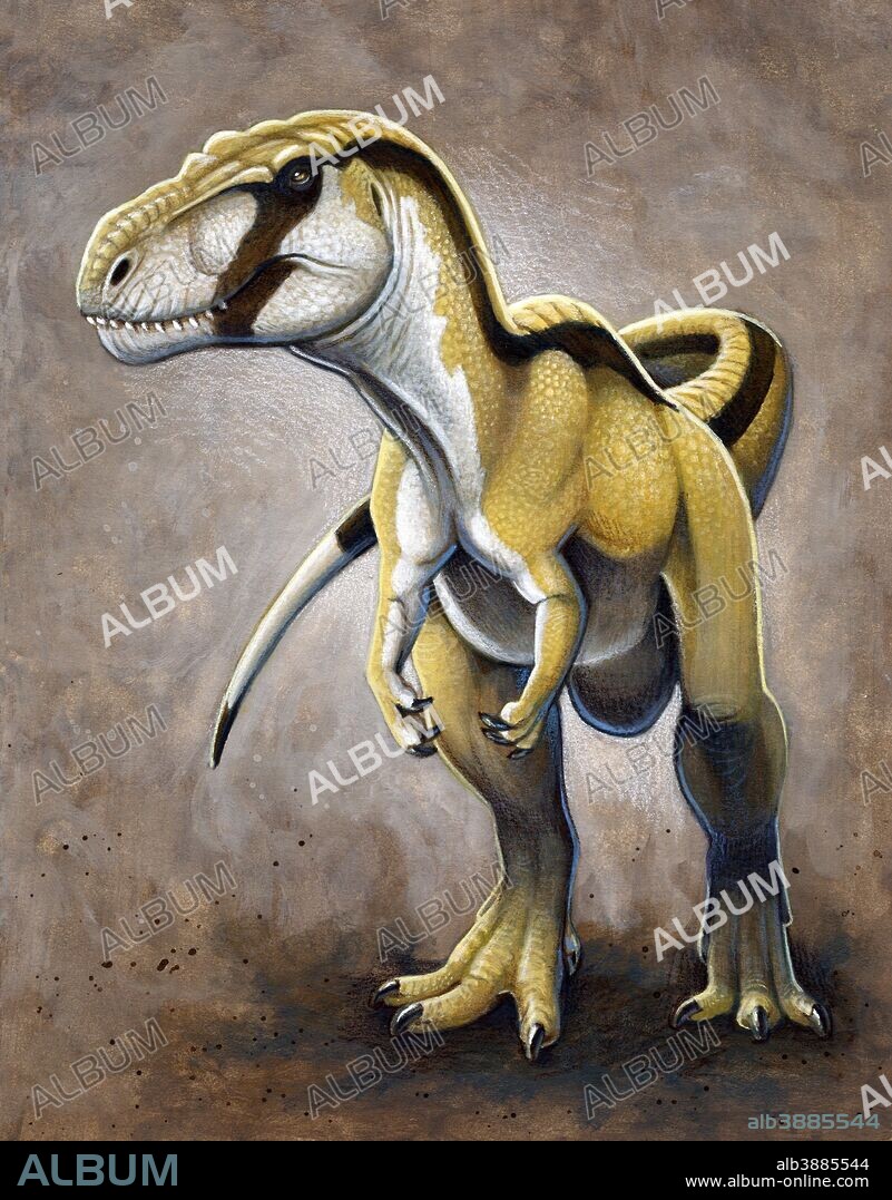 Megalosaurus, a large meat-eating theropod dinosaur of the Middle Jurassic period. Megalosaurus is the first genus of dinosaur to be scribed and named. Acrylics and color pencil.