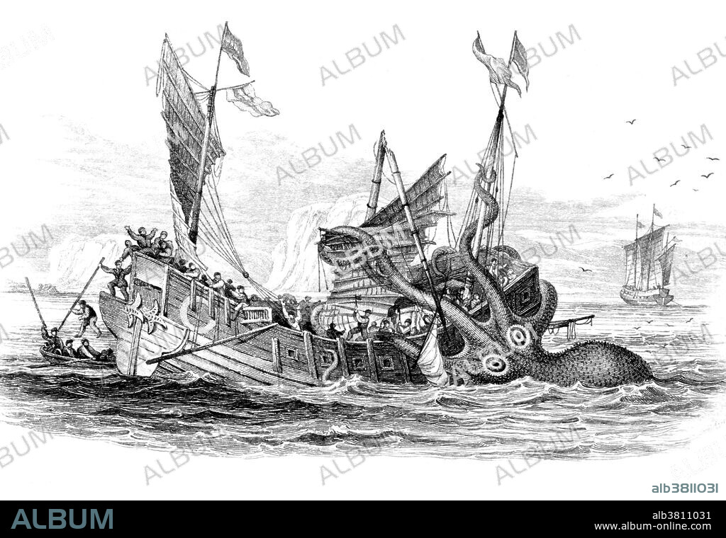 The giant squid's elusive nature and fearsome appearance have long made it a popular subject of legends and folk tales. Its popularity as an image continues today with references and depictions in literature, film, television, and video games. Often, the giant squid is represented as being in dramatic, evenly matched combat with a sperm whale. This powerful image is no longer considered accurate given the evidence that exists for a simpler predator-prey relationship between whale and squid, with the whale being the predator and the squid the prey. The Kraken is a legendary sea monstersaid to dwell off the coasts of Norway and Greenland. Authors have postulated that the legend originated from sightings of giant squids that may grow to 40-50 feet in length, despite the fact that the creature in the original tales was not described as having tentacles and more closely resembled a whale or crab. Image appeared in "The naturalist's library" by William Jardine, 1833.