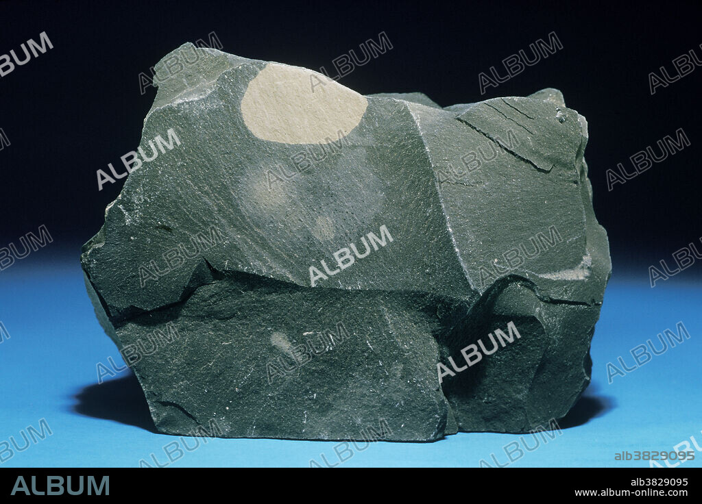 Shale is a dense sedimentary rock that forms when layers of mud are buried and compressed. Mud is largely composed of clay particles, which have a platy appearance. When these are compacted the resulting layers can be readily separated along the clay particle surfaces. Shales are extremely common and may contain abundant fossils, including marine shells which are made of calcium carbonate. A shale rich in carbonate is termed calcarous.