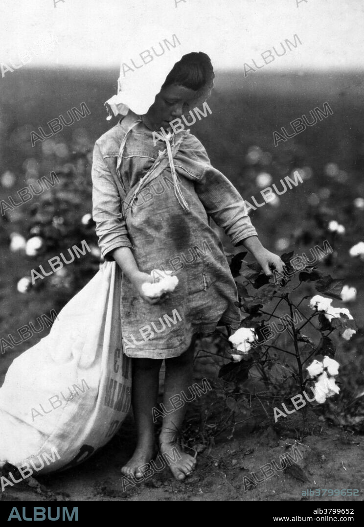 Entitled: "Vera Hill, 5 years old picks 25 pounds a day. Location: Comanche County, Oklahoma." When the cotton pickers got to the field, each was given a sack with a strap that went over the shoulder. That left both hands free to pick. No one wore gloves. The boll that holds the cotton is quite sharp, and by the end of the day, fingers were sore, cut and bleeding. Child labor refers to the employment of children in any work that deprives children of their childhood, interferes with their ability to attend regular school, and that is mentally, physically, socially or morally dangerous and harmful. According to the 1900 US Census about 1 in every 6 Children between the ages of five and ten were engaged in "gainful occupations" in the United States. This trend alarmed Americans who, while supporting the traditional role of children in agriculture, found the idea of American youth laboring for meager wages in industrial factories appalling. From 1909 to 1921 the NCLC (National Child Labor Committee) capitalized on this moral outrage by making it the focal point of the NCLC campaign against child labor. They hired Lewis Hine, a teacher and professional photographer trained in sociology, to document child labor in American industry. Over the next ten years Hine would publish thousands of photographs designed to pull at the nation's heartstrings. Photographed by Lewis Hine, October 11, 1916.