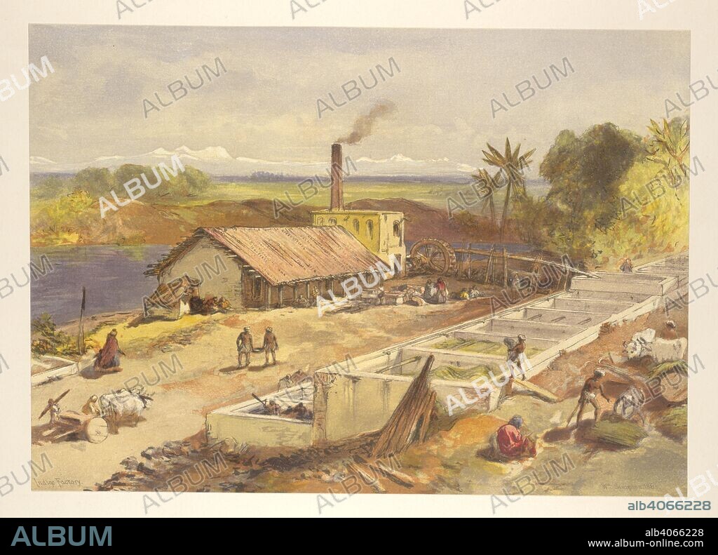 WILLIAM SIMPSON et SIR JOHN WILLIAM KAYE. Indigo factory, Bengal. In this view, the plants (Indigofera tinctoria) were soaked in large tanks or vats of water to releasing their blue colour, and would then float to the top to be retrieved and dried. India, ancient and modern : a series of illustrations of the country and people of India and adjacent territories. London : Day and Son, 1867. Chromolithograph. Source: X108(38).