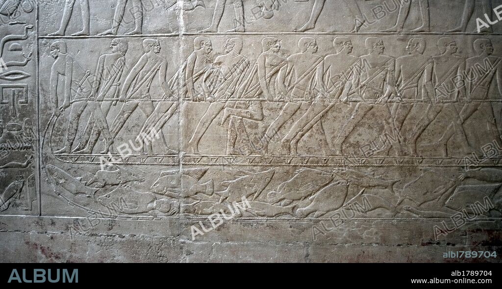 ARTE EGIPCIO. EGIPTO. MASTABA DE MERERUKA o MERI (MERA). Tumba familiar de un alto funcionario de la VI DINASTIA del IMPERIO ANTIGUO. Con una única entrada, su interior se encuentran ricamente decoradas con RELIEVES menfitas. Detalle de uno de ellos con la representación de una ESCENA DE PESCA. 18 EGIPCIOS ESTIRANDO DE UNA GRAN RED DE PESCA. NECROPOLIS DE SAKKARA.