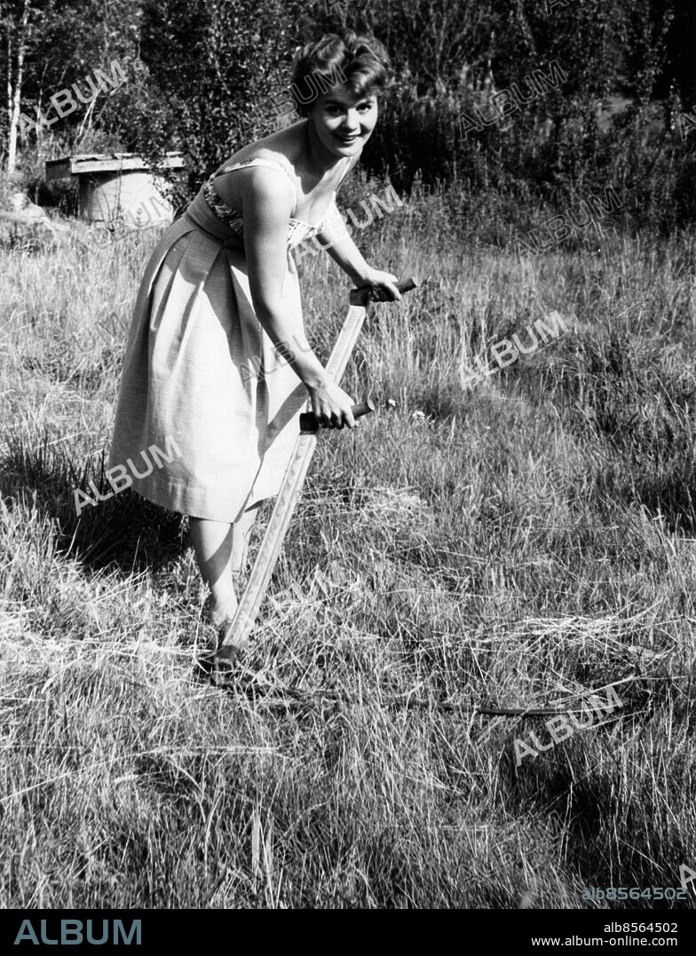 LÅNGARÖD 1959-07.. Orig. bildtext... Sonja Stjernquist firar sin sommar i sitt ägandes torp i Göinge i Skåne. Det vill säga när hon hinner ta fritt mellan folkparksbesöken. Sonja har köpt det gamla torp som var hennes barndomshem, där hon är född och där hon bodde till elva års ålder. Så nog hittar Sonja i blåbärsterrängen kring Långarödstorpet. Där hon till och med försöker sig på att slå hö. Det finns det mycket av på de fem tunnland mark som omger torpstället. Juli 1959 Anm. Leende Liar persons: SONJA STJERNQUIST sites: SVERIGE;LÅNGARÖD.