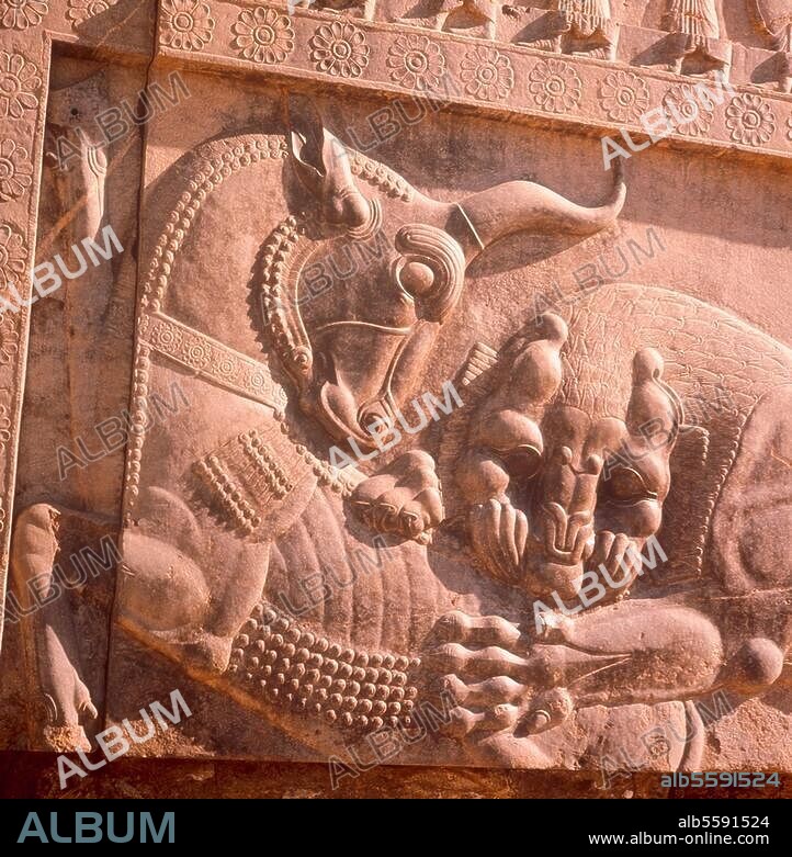 Persepolis (Iran), Stufenanlage zum Tripylon im Dareiospalast. (achämenidisch, 1. Hälfte 5. Jh. v. Chr.). - Relief an der rechten Treppenwange:. Ein Löwe greift einen Stier an.