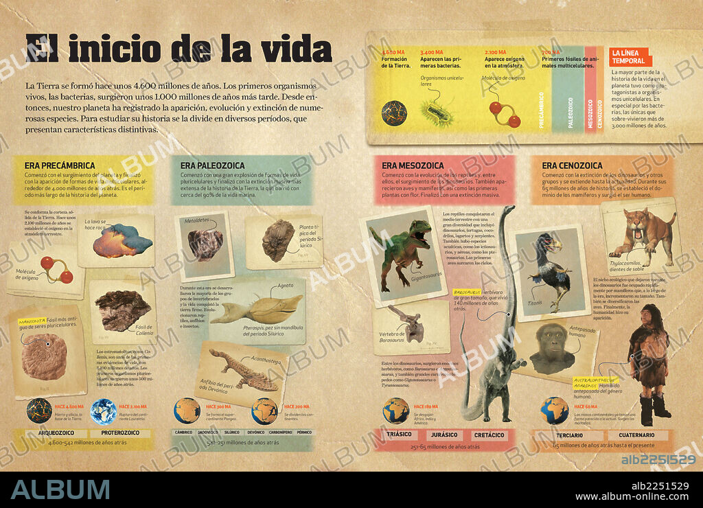 El inicio de la vida. Infografía sobre las diferentes etapas geológicas que dieron lugar a la aparición y evolución de vida en la Tierra.