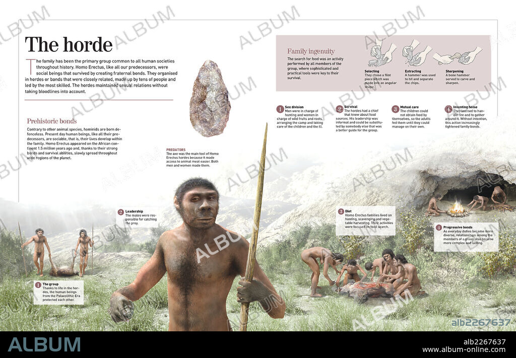 La horda. Infografía que muestra cómo vivían los Homos Erectus hace 800.000 años atrás: en hordas o bandas estrechamente emparentadas y organizadas.
