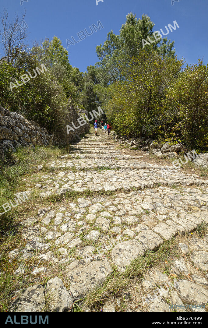 Camí des Rost, valle de Soller, Mallorca, Balearic Islands, Spain.