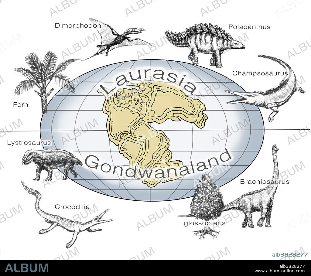 Illustration of common plants and animals on the two supercontinents Laurasia and Gondwanaland, that existed from approximately 510 to 180 million years ago. The plants and animals pictured are (clockwise from top left): fern, dimorphodon, polacanthus, champsosaurus, brachiosaurus, glossopteris, crocodilia, and lystrosaurus.