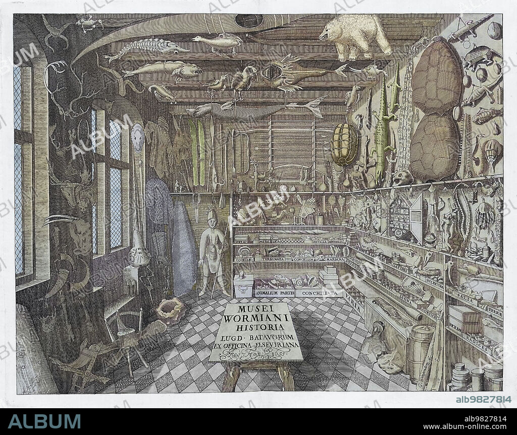 Frontispiece to Ole Worm's Museum Wormianum (1655), depicting various animal taxidermy, shells, and other oddities. Olaus Wormius (1588-1654) was a professor at the University of Copenhagen. Engraving by G. Wingendorp, 1655.