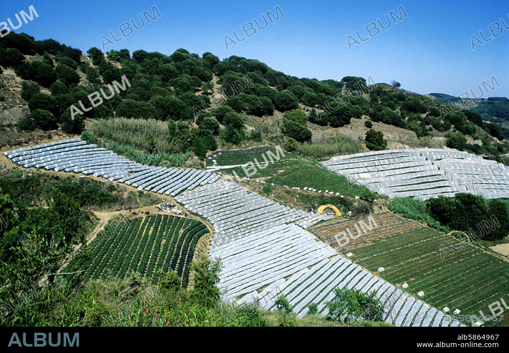 Arenys de Munt, paisaje agrícola, invernaderos, Sierra del Montnegre.