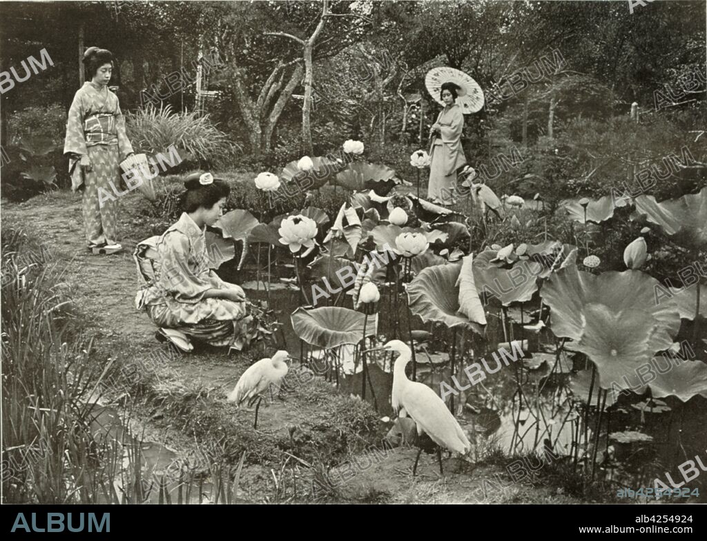 HERBERT PONTING. 'In Lotus-Land', 1910. From "In Lotus-Land Japan", by Herbert G. Ponting, F.R.G.S. [Macmillan and Co., Limited, London, 1910].