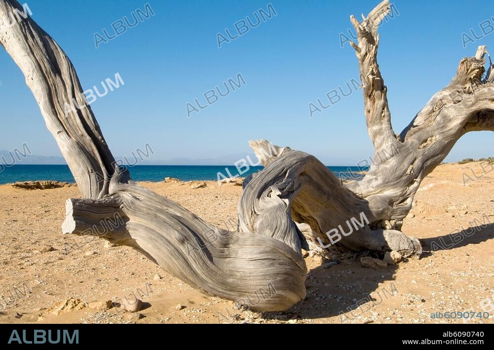 Griechenland, Kreta, Insel Gavdos, der Strand von Agio Ioannis.