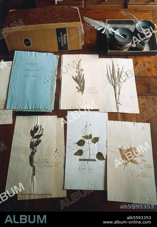 Goethe, Johann Wolfgang von. 1749-1832. Goethes botanische Sammlung:. Blätter mit gepressten Pflanzen aus Goethes Herbarium. Weimar, Stiftung Weimarer Klassik.