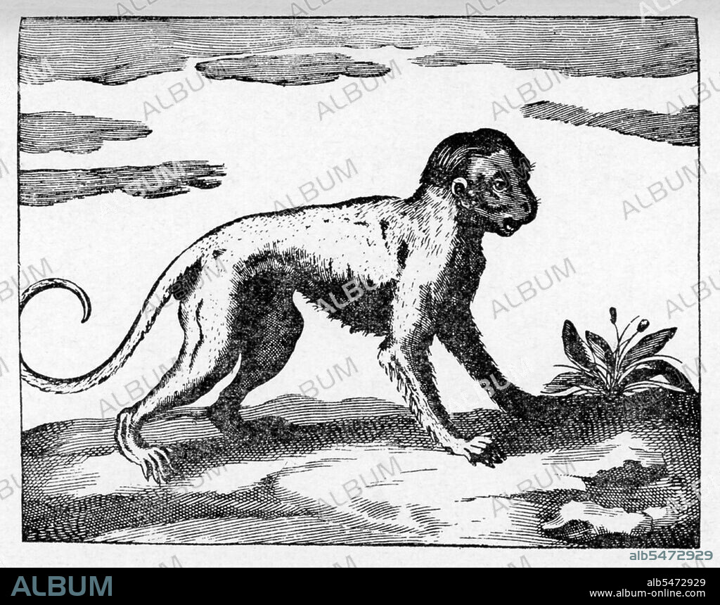 An Historical Relation of the Island Ceylon together With somewhat Concerning Severall Remarkable passages of my life that hath hapned [sic] since my Deliverance out of Captivity' is a book written by the English trader and sailor Robert Knox in 1681. It describes his experiences some years earlier on the South Asian island now best known as Sri Lanka and provides one of the most important contemporary accounts of 17th century Ceylonese life. Knox spent 19 years on Ceylon after being taken prisoner by King Rajasimha II.