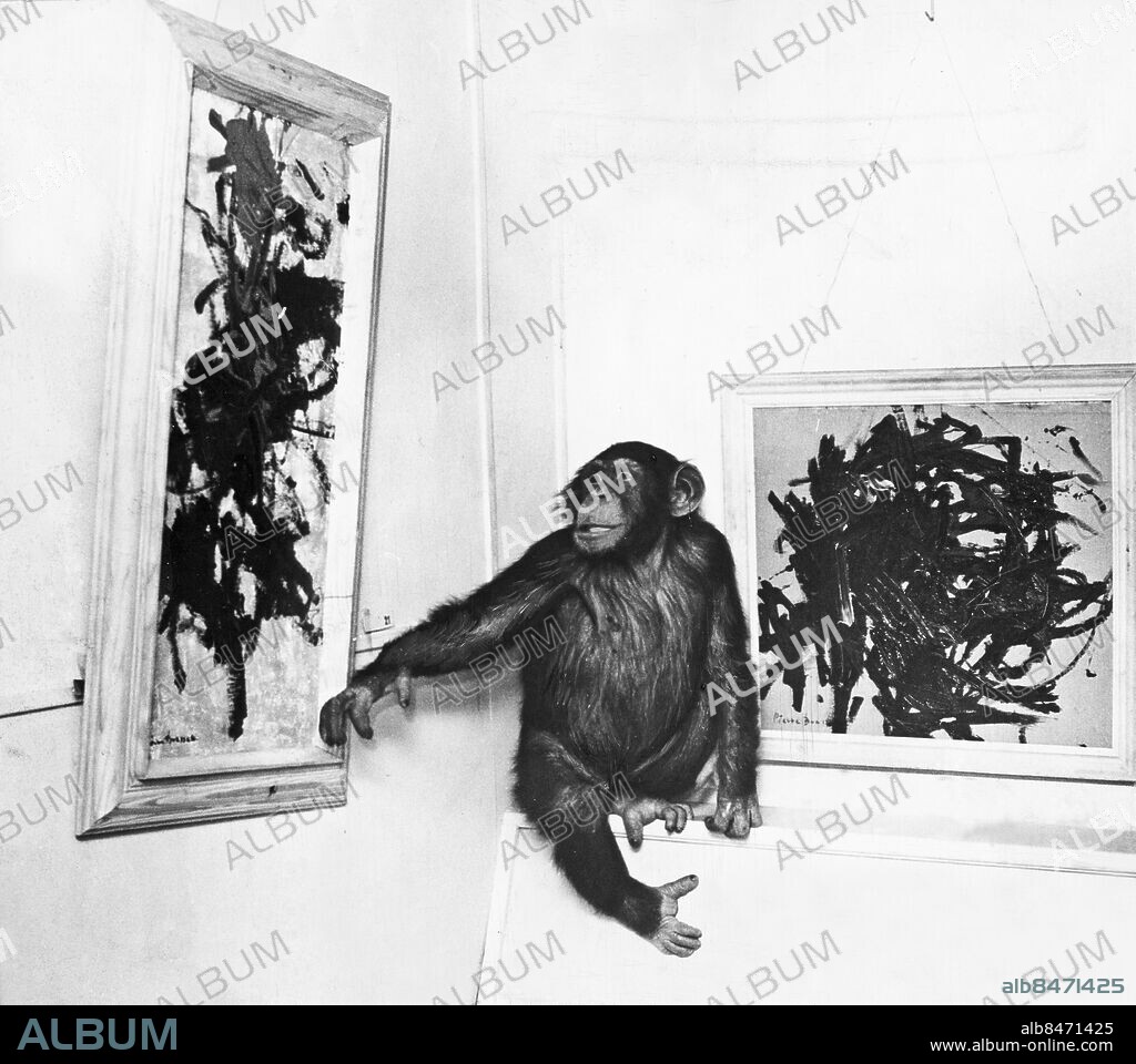 FILE CA 1964-02-11. Chimpanzee Peter at Boras Zoo paints pictures on commission by journalist Åke Axelsson and exhibits the paintings at Gallerie Christinae in Gothenburg with the signature Pierre Brassau.. *****. Schimpansen Peter på Borås djurpark målar tavlor på beställning av journalisten Åke Axelsson och ställer ut tavlorna på Gallerie Christinae i Göteborg under namnet Pierre Brassau.. Foto: Expressen / TT / Kod: 192.