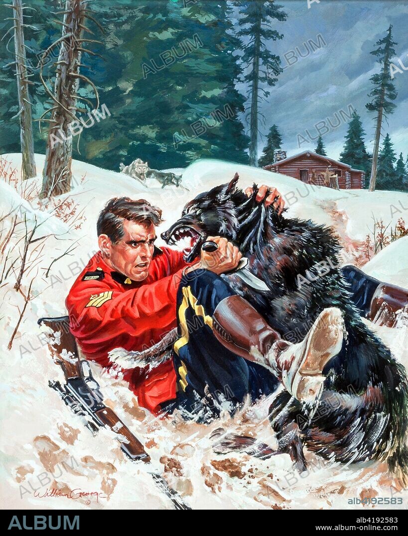 William George King of the Royal Mounted #13 Cover Painting Art (1953). Sergeant David King of the RCMP always gets his man. But this time, it may be a wolf who gets his man! Maybe Mountie King should think about getting a dog sidekick like Sergeant Preston.  - William George.