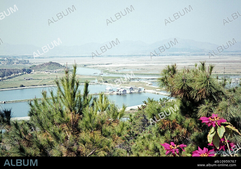 Panorama from Lok Ma Chau to the border with Red China, Hong Kong July 1968.