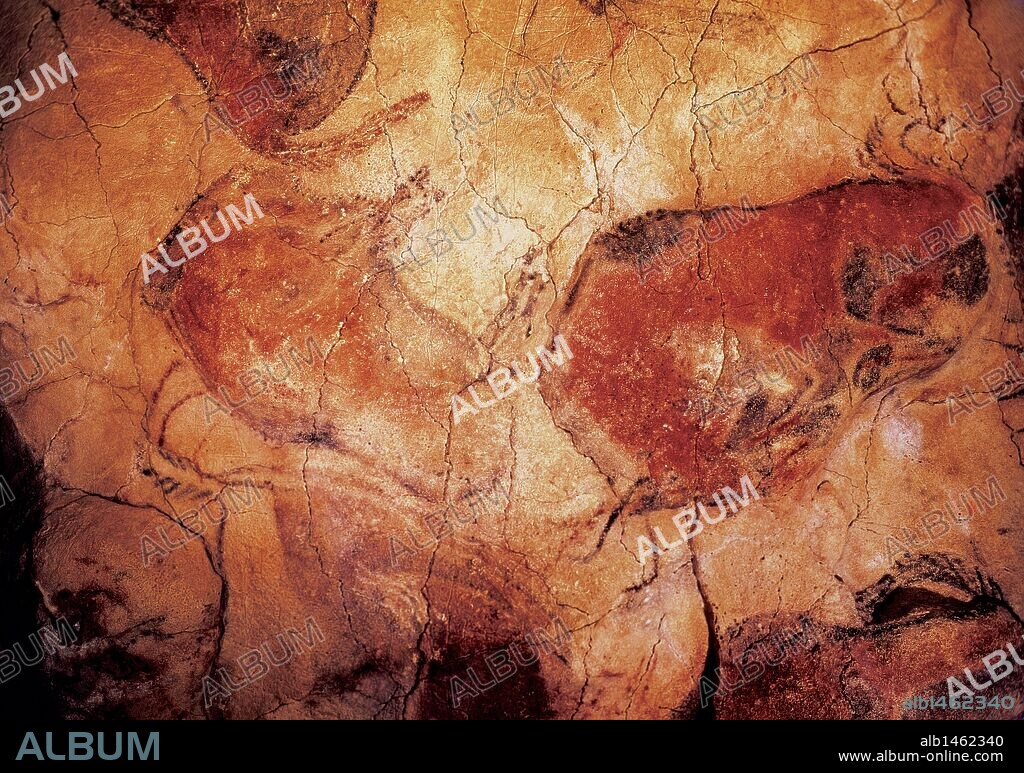 ARTE PREHISTORICO. ESPAÑA. CUEVA DE ALTAMIRA. Detalle del gran panel de la SALA DE LOS BISONTES. Alrededores de Santillana del Mar. Cantabria.