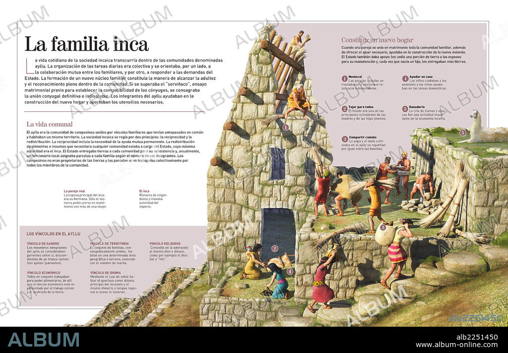 La familia inca. Infografía sobre la sociedad incaica (1500), sobre cómo vivía y cómo se organizaban las familias incas en las comunidades o ayllu.