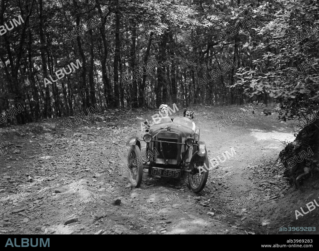 Marshall forest vehicle outlet