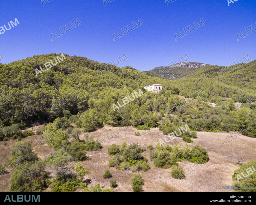 pinar de Canet, Esporles, sierra de Tramuntana, Mallorca, balearic islands, spain, europe.