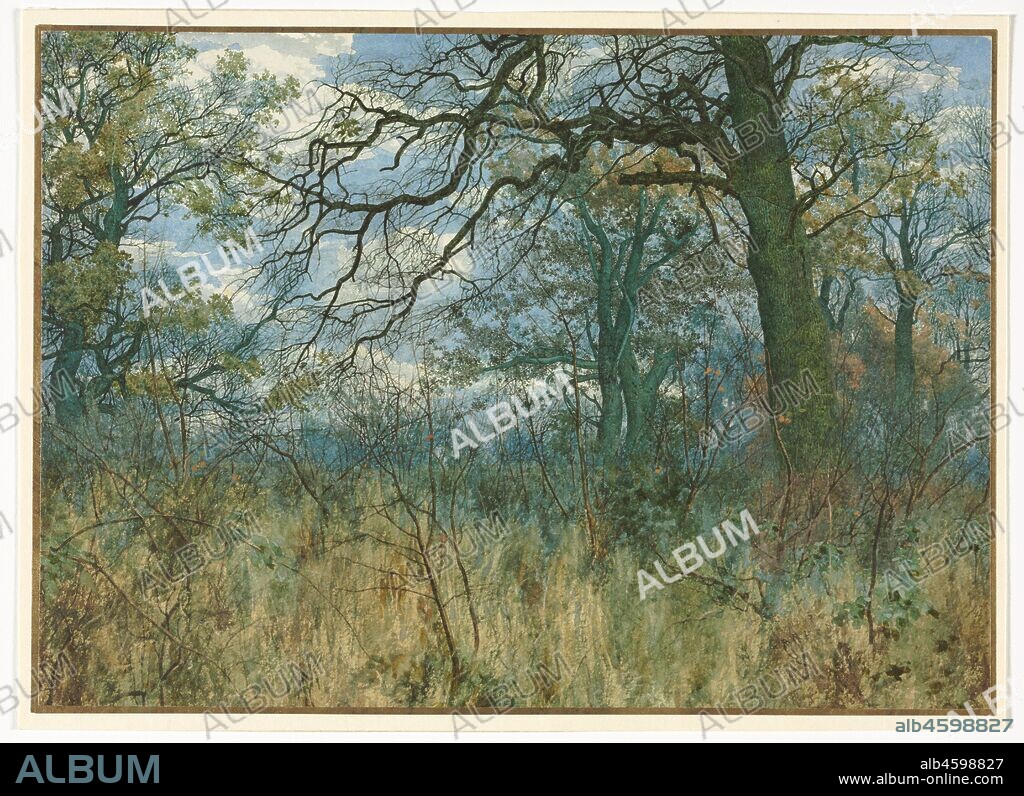 Trees and Undergrowth, 1885. Garden?s work was based on the rendering of minute detail with painstaking brushwork and handling of colour. Here, he describes an insignificant corner of the Bedford landscape: a tangled thicket in which dry grasses and saplings commingle. Bare branches stretch across a bright blue sky, creating a pattern as intricate as a spider?s web. This may have been the drawing that Garden exhibited at the Royal Academy in 1885 with the title Early Spring in the Woods. A pale green haze in the grass, the azure sky, and scattered wildflowers suggest the promise of spring.