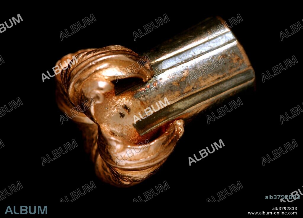 A hollow point bullet is photographed after being fired from a rifle into a block of ballistic gelatin. The bullet is designed to peel open on impact to obtain the largest amount of damage to the target. These bullets are designed for hunting animals.