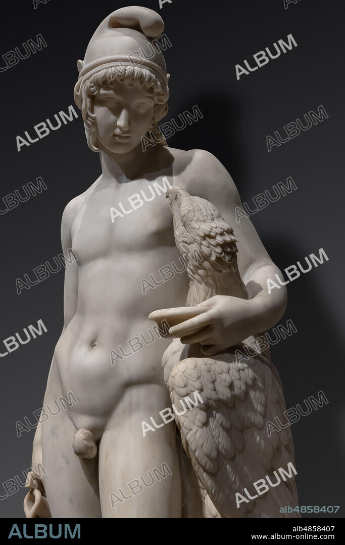 "Standing Ganymede with Jupiter's Eagle", 1819 , di Camillo Pacetti (1758-1826), marble. Detail.