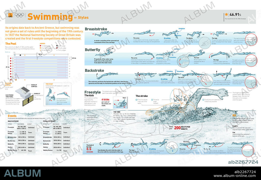 Natación estilos. Infografía de las técnicas de los diferentes estilos de natación y las pruebas olímpicas de este deporte.