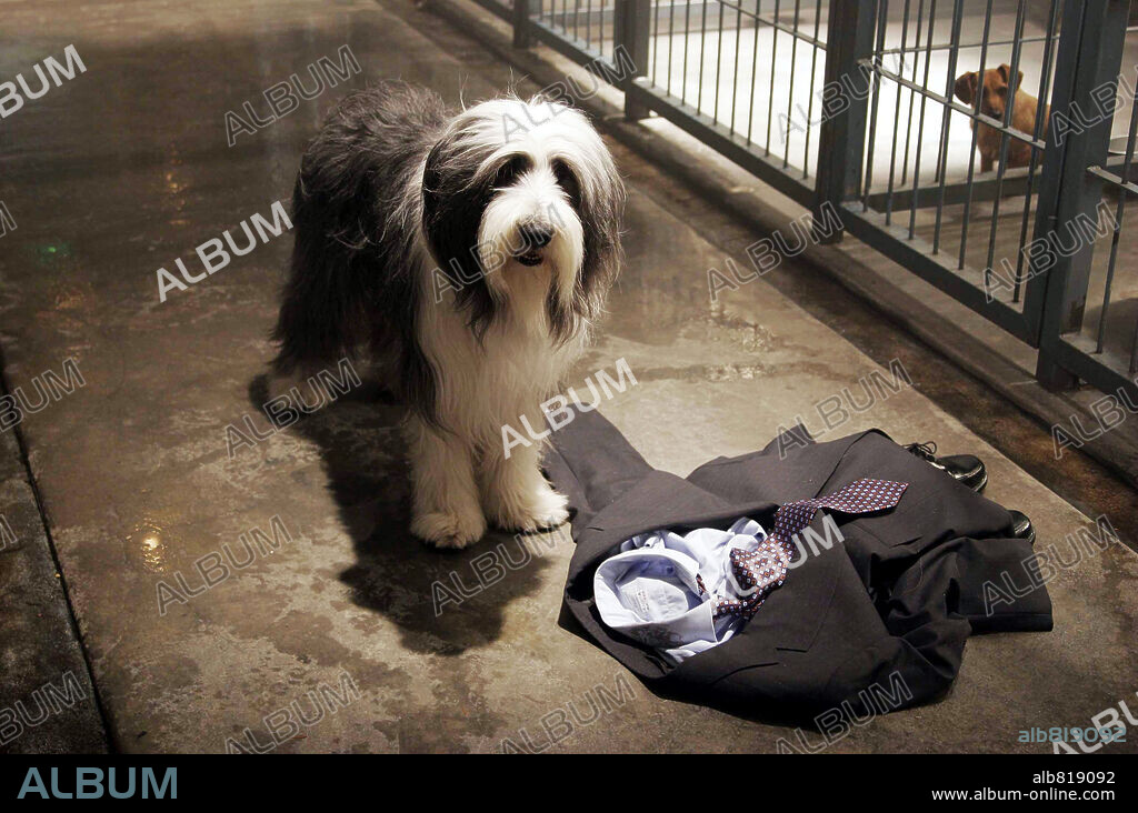 THE SHAGGY DOG, 2006, directed by BRIAN ROBBINS. Copyright DISNEY ENTERPRISES / LEDERER, JOSEPH.
