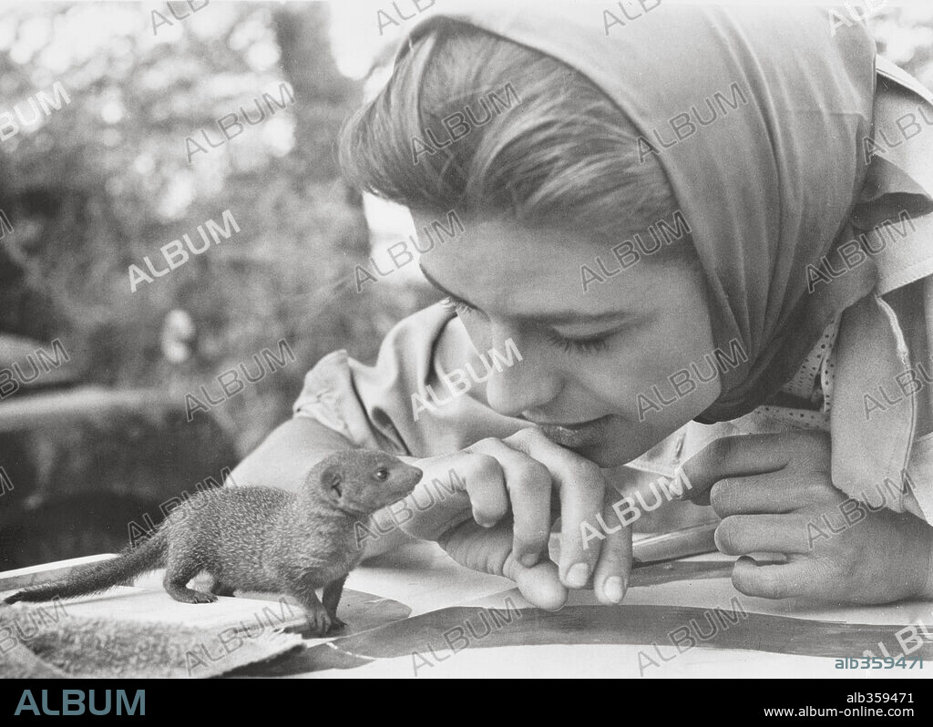 MICHELE GIRARDON in HATARI!, 1962, directed by HOWARD HAWKS. Copyright PARAMOUNT PICTURES.