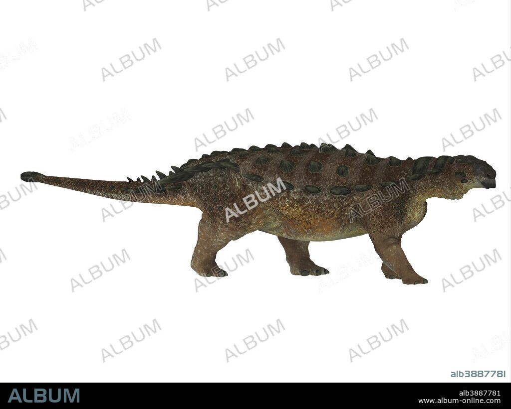 Side profile of a Pinacosaurus dinosaur. Pinacosaurus was a herbivorous ankylosaur that lived in the Cretaceous Period of Mongolia and China.