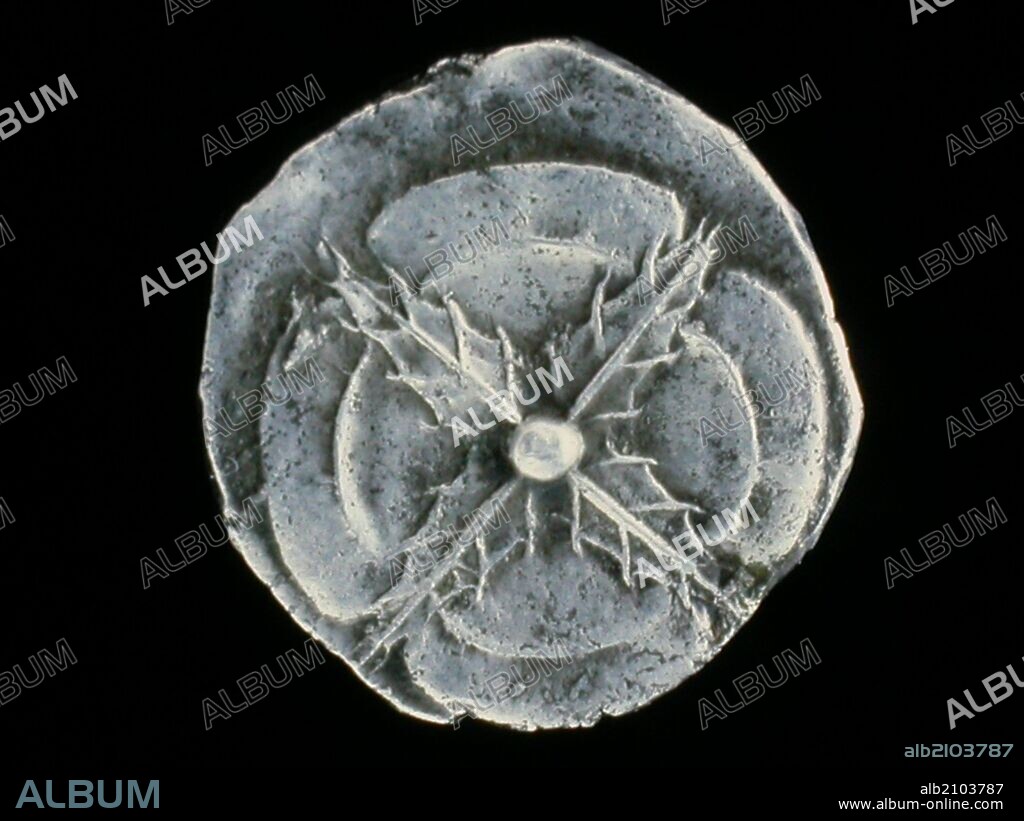 NUMISMATICA. MONEDA HISPANO-GRIEGA. DRACMA DE PLATA. REVERSO. ROSA VISTA POR DEBAJO. 218 A.C. (DEPOSITO: MUSEO ARQUEOLOGICO NACIONAL).