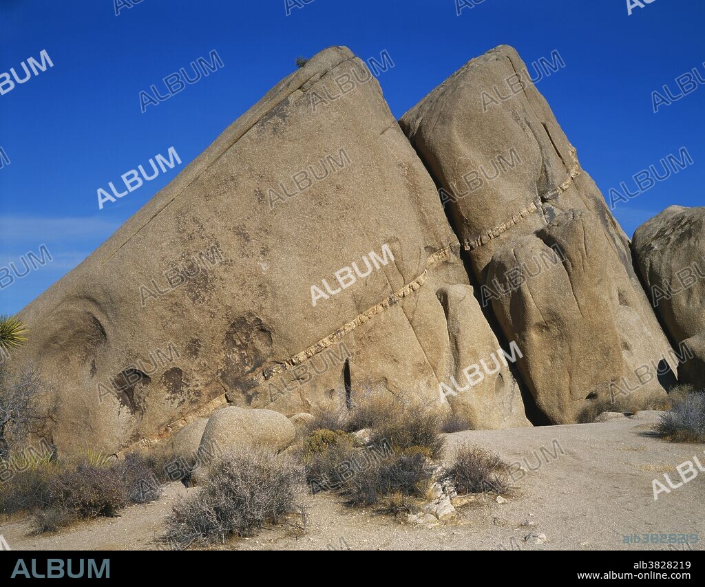 A large aplite dike cutting through the monzogranite rock in Joshua Tree National Park, California. The concave hollows are formed by "cavernous weathering", the chemical action of water.
