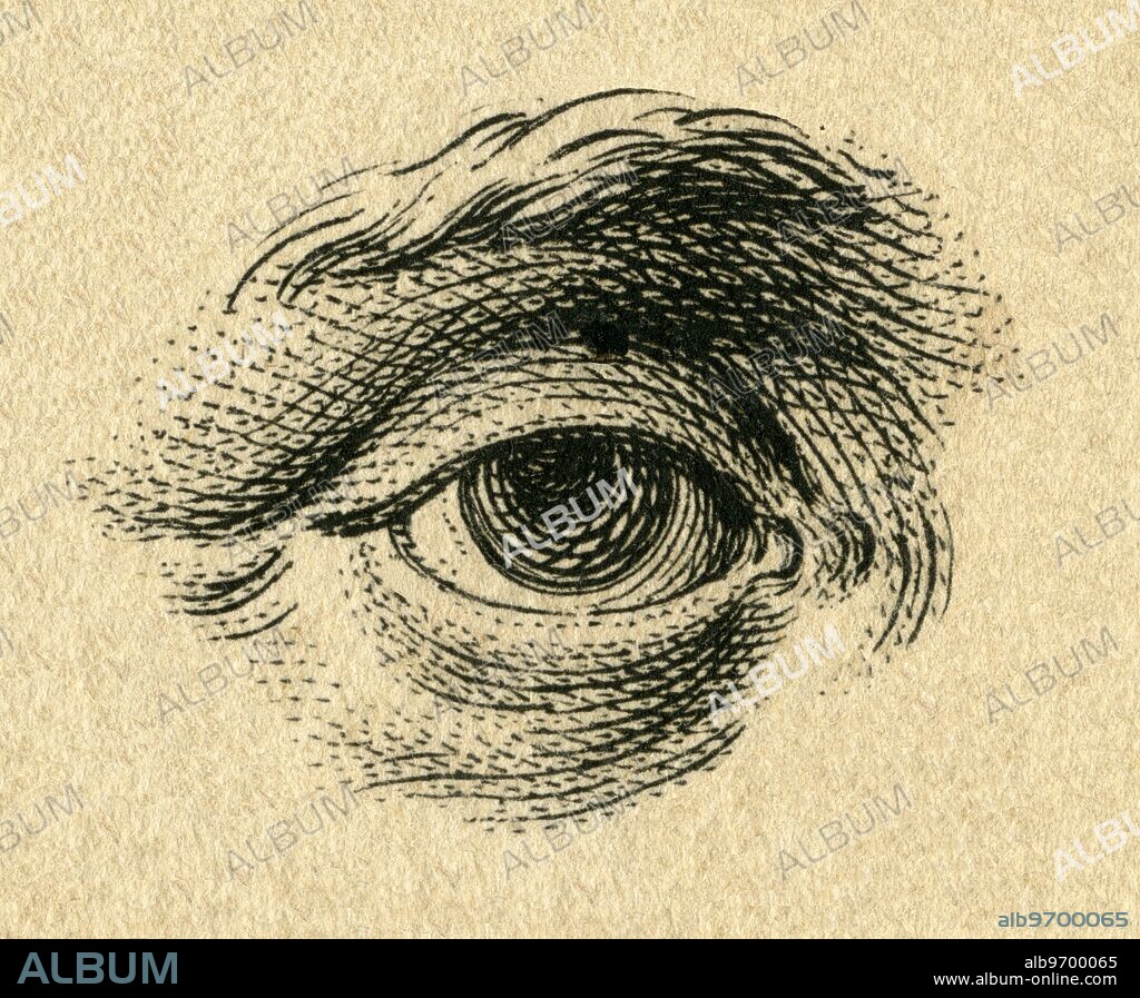 Europe, Germany, Bavaria, Augsburg, graphic of an eye, copperplate engraving by Johann Martin Will, after Andreas Kilian, published by August Vind , drawing template from a booklet , around 1750 .