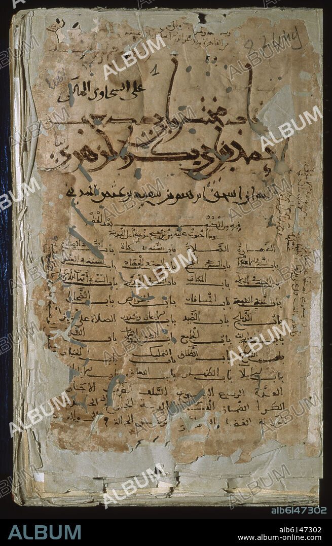 AUTOR LIBRE 01307. MANUSCRITO PROCEDENTE DE LA BIBLIOTECA DE AL-HAKAM II - PERGAMINO - SIGLO X - F 874.