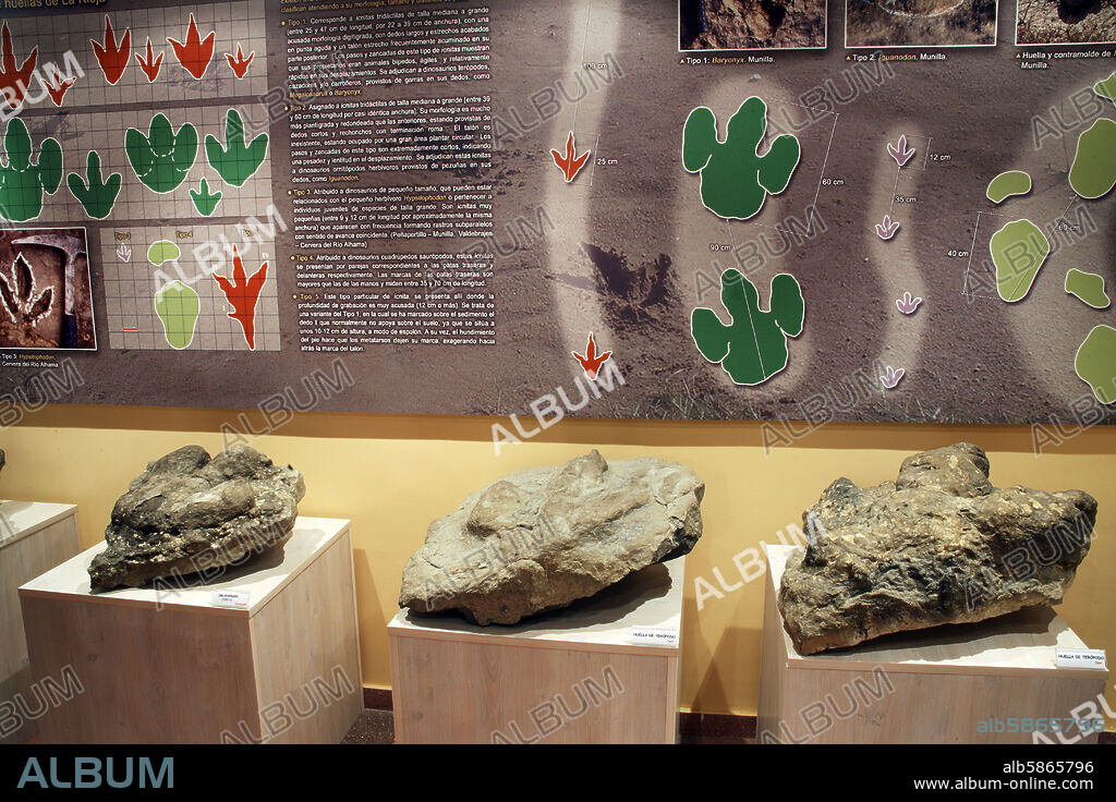 Igea; Centro de Interpretación Paleontológica de La Rioja, el + importante (junto al de Enciso) de la Comunidad; huellas de dinosaurios (Valle de Linares).