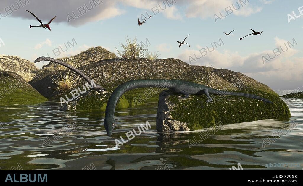 Tanystropheus, a mid Triassic, long-necked reptile, fishes from the rocks.