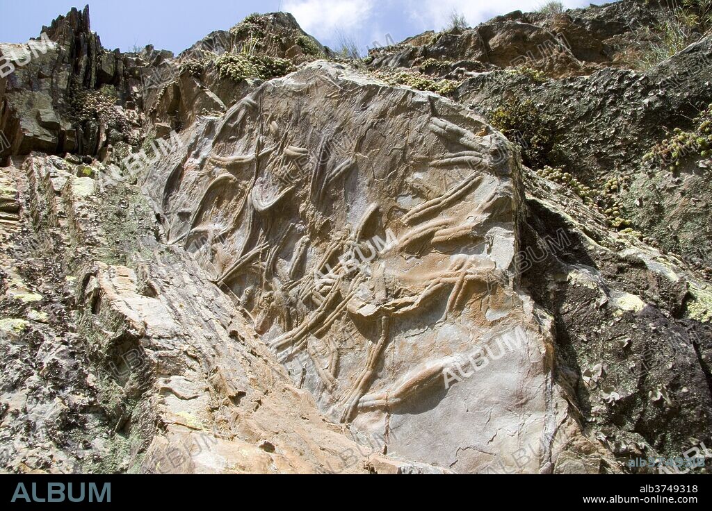 Silurian trilobite burrows, Penha Garcia geological park, Naturtejo Geopark (one of the UNESCO Geoparks), Beira Baixa, Portugal, Europe.