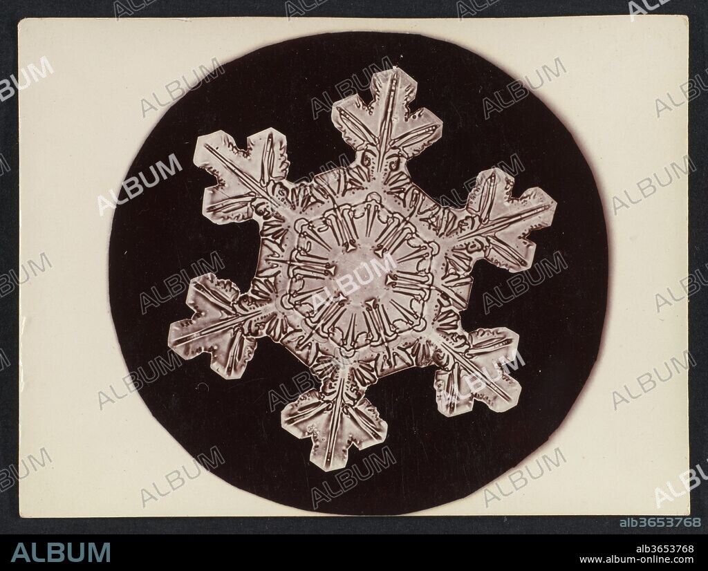 [Snow Crystal]. Artist: Wilson Alwyn Bentley (American, 1865-1931). Dimensions: Image: 2 7/8 in. × 3 in. (7.3 × 7.6 cm)
Sheet: 2 15/16 in. × 4 in. (7.5 × 10.1 cm). Date: 1890s-1920s.