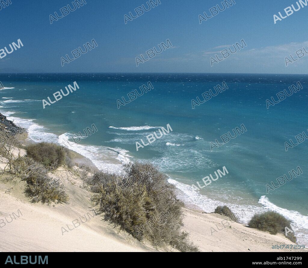 ISLAS CANARIAS. Vista de la PLAYA DE JANDIA. FUERTEVENTURA. Provincia de Las Palmas. España.