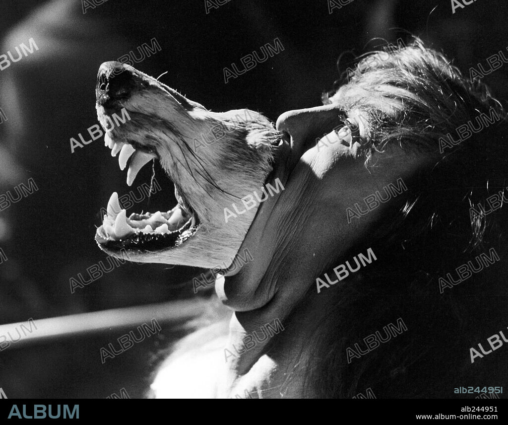 EN COMPAÑÍA DE LOBOS, 1984 (THE COMPANY OF WOLVES), dirigida por NEIL JORDAN. Copyright PALACE PICTURES.