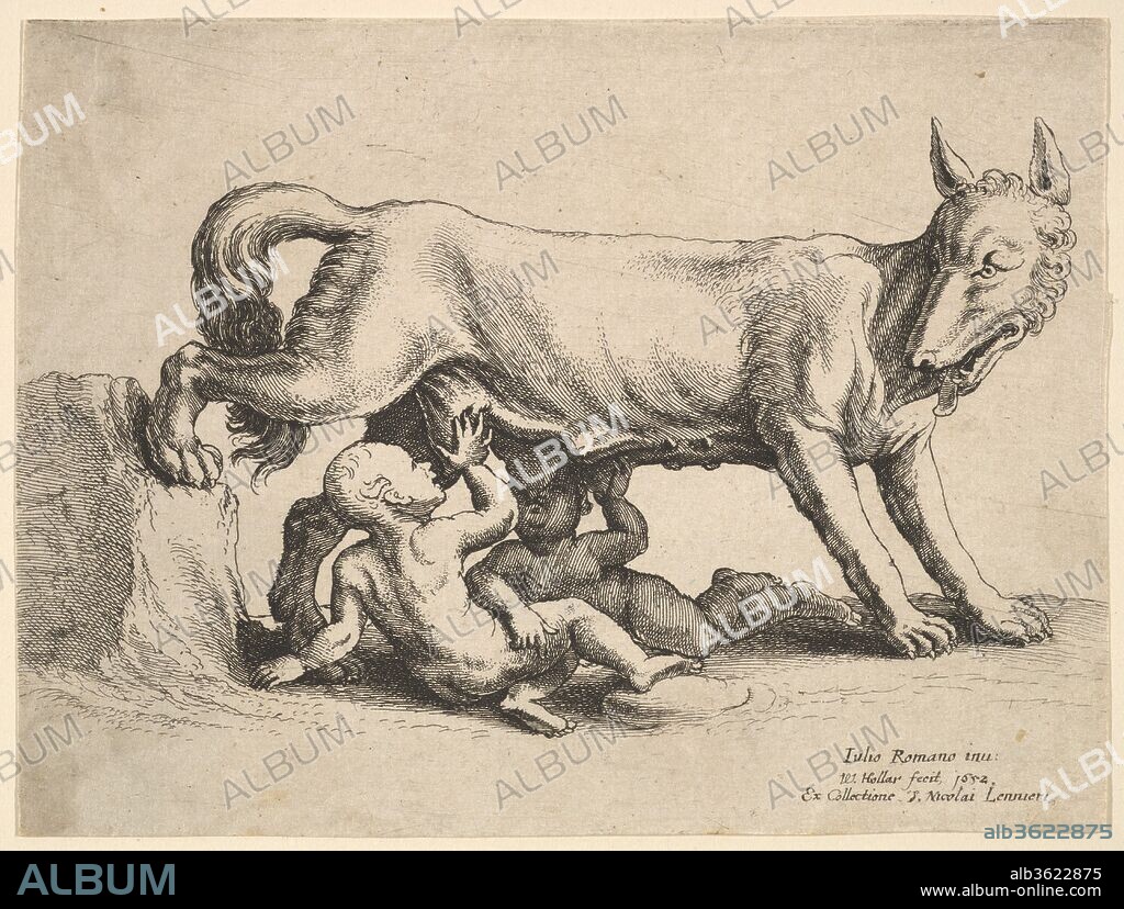 Romulus and Remus. Artist: After Giulio Romano (Italian, Rome 1499?-1546 Mantua). Dimensions: Sheet: 4 5/16 × 5 3/4 in. (10.9 × 14.6 cm), cut within image at sides. Etcher: Wenceslaus Hollar (Bohemian, Prague 1607-1677 London). Series/Portfolio: From a series of six plates, etched by Hollar after drawings by Giulio Romano from the collection of Nicolas Lanier, designs for stucco medallions at the Palazzo Te in Mantua; see New Hollstein 1182-1187.. Date: 1652.
Romulus and Remus suckling milk from a wolf, standing to right with its right hind leg on a rock. From a series of six plates, etched by Hollar after drawings by Giulio Romano from the collection of Nicolas Lanier, designs for stucco medallions at the Palazzo Te in Mantua.