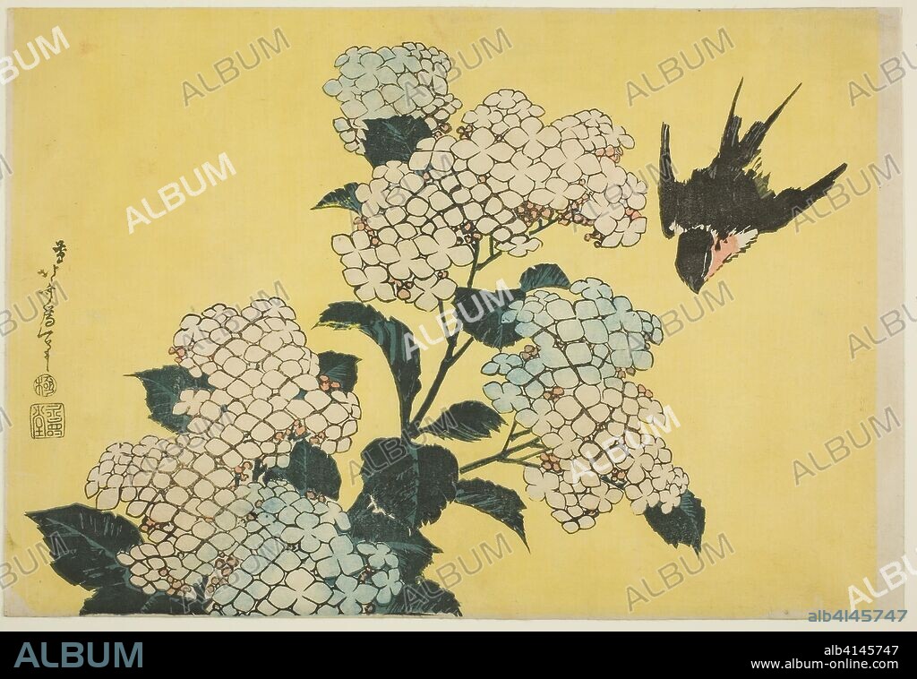 Hydrangea and Swallow, from an untitled series of large flowers. Katsushika Hokusai ?? ??; Japanese, 1760-1849. Date: 1828-1838. Dimensions: 26.1 x 38.5 cm (10 1/4 x 15 in.). Color woodblock print; oban. Origin: Japan.