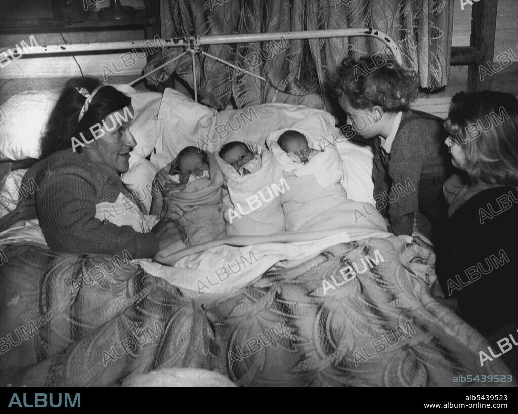 Sullivan Triplets (from left) James, Marie and Ivan are introduced to brother Michael and sister Sylvia ***** Mrs M. Sullivan today Below: The shack at Chelsea, in which the triplets were born. The bedroom is at left.