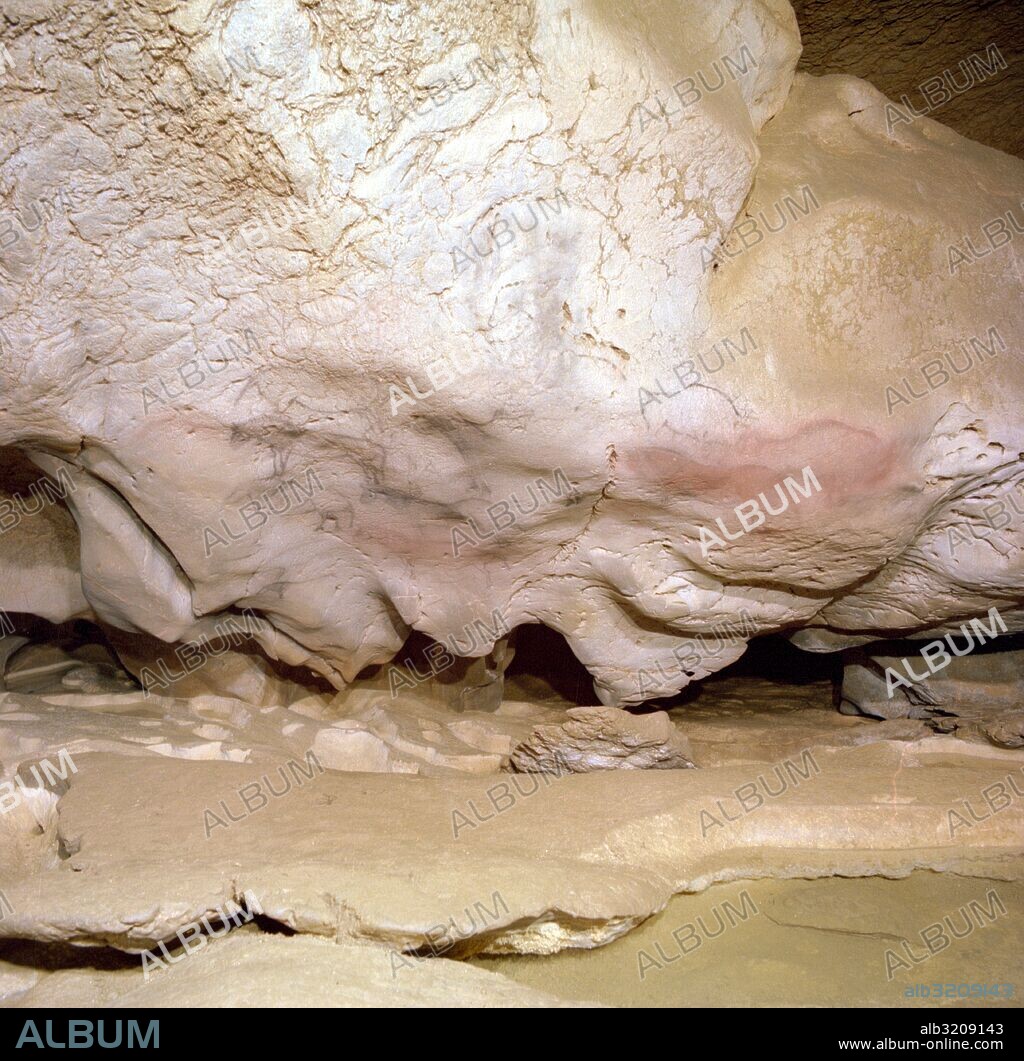 CUEVA DE EKAIN. GALERIA DE ZALDEI O DE LOS CABALLOS: VARIAS PINTURAS DE CABALLOS Y DETALLES.  DEVA, GUIPUZCOA, PAIS VASCO, ESPAÑA.