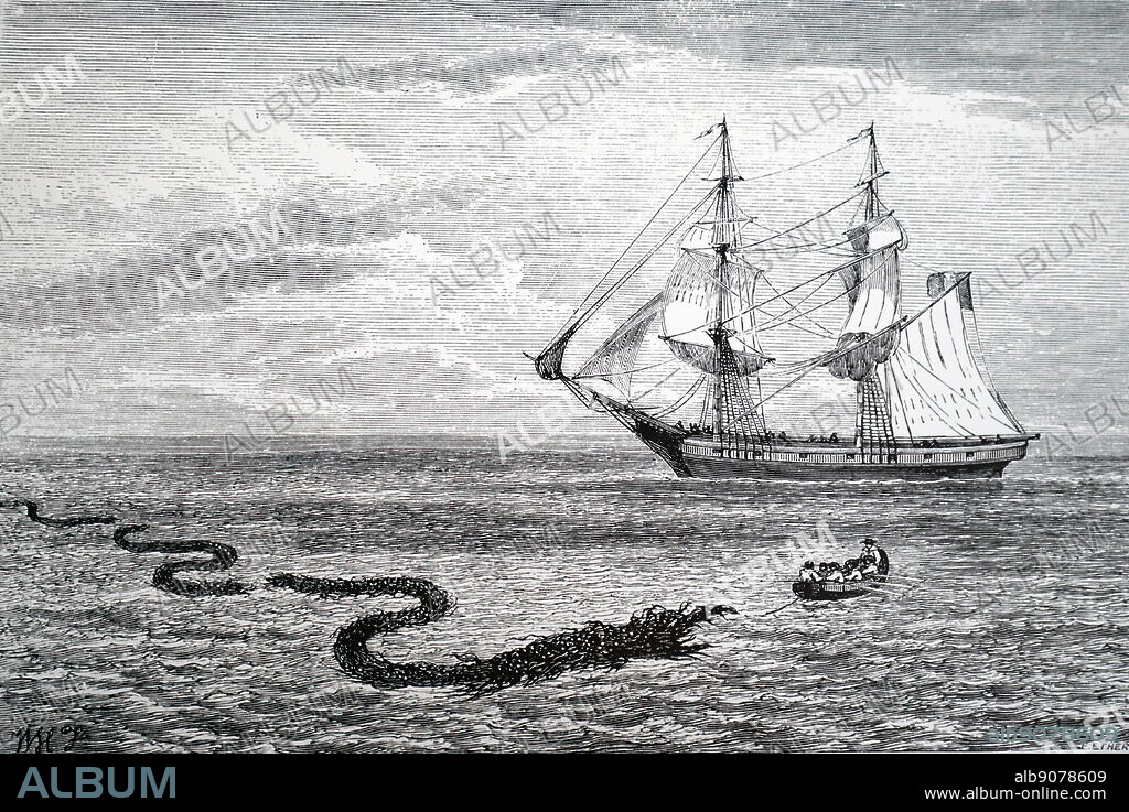 An engraving depicting huge accumulation of sea-weed resembling a sea serpent. observed by Frederic Smith near Mouline in, Burma, vliile sailing in the French vessel Peking, 1870.
